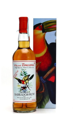 west indies 2000 / 16 year old / high spirits